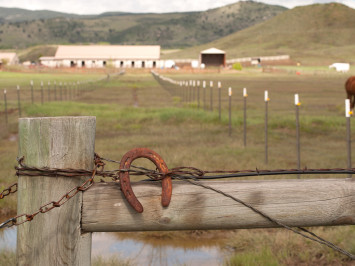 barn-fence-horseshoe